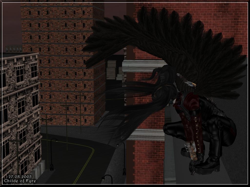 Envy Night Flight